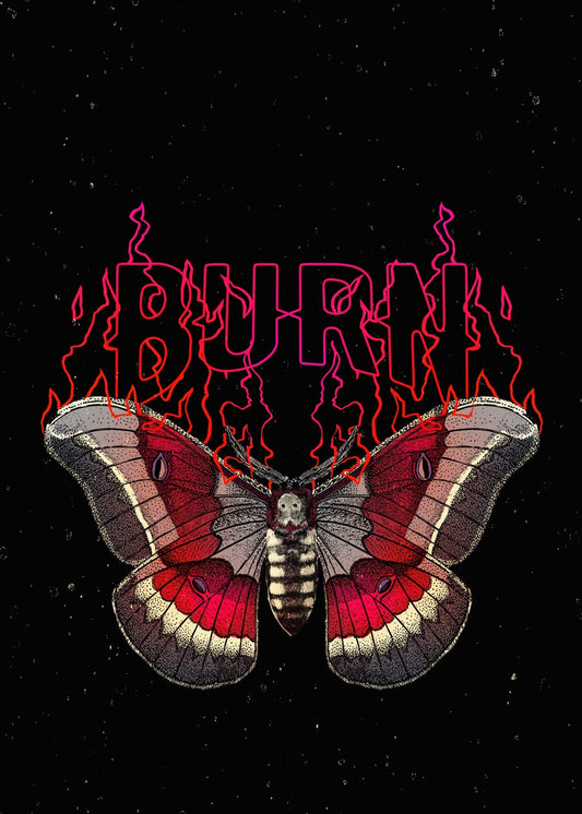 Flame Moth