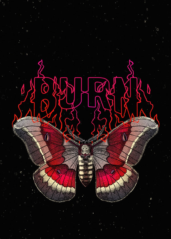 Flame Moth