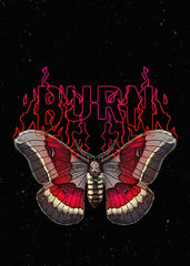 Flame Moth