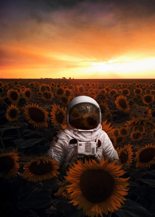Golden Solitude 