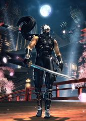 Ninja Gaiden