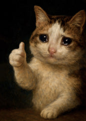 Thumbs Up Crying Cat