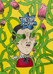The Story So Far