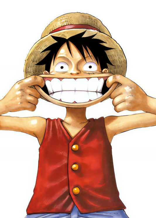 One piece Monkey D. luffy