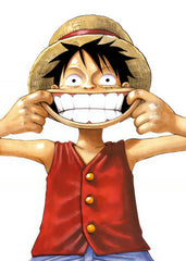 One piece Monkey D. luffy