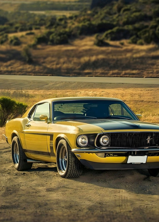 Ford Mustang Boss 302