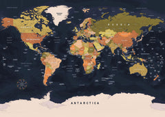 World map