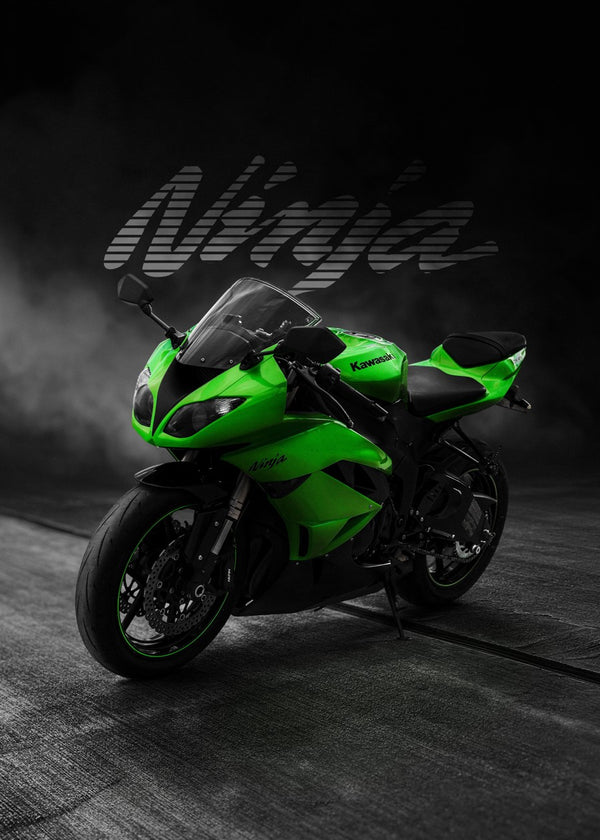 Kawasaki Ninja Rear