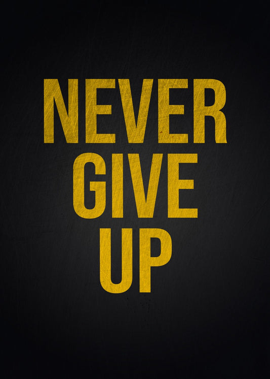 Never Give Up
