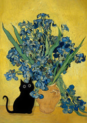 Irises black cat