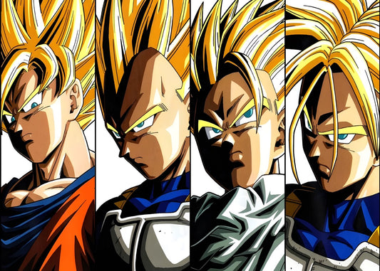 Super Saiyan Warriors, Dragon ball