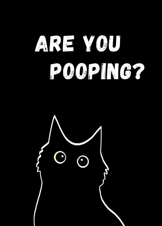 black cat are you pooping cool