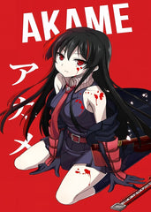 Akame Ga Kill Night Raid