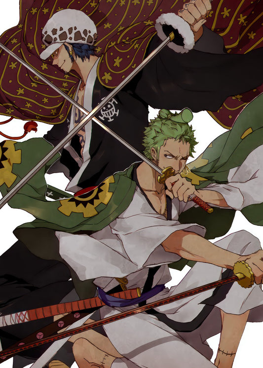One piece roronoa zoro