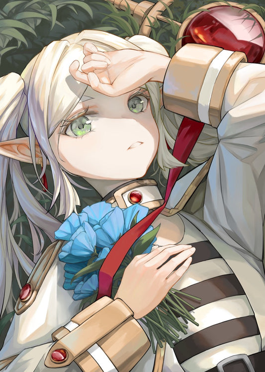 Frieren The Elf Mage