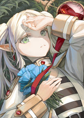 Frieren The Elf Mage