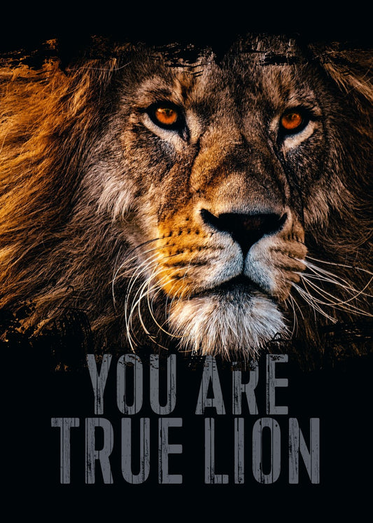 Lion Heart