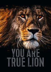 Lion Heart