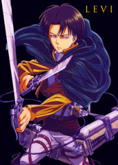 Levi