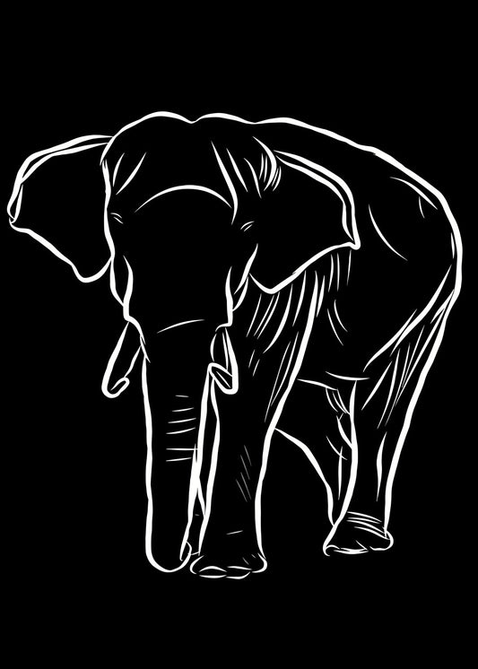 Elephant Outline Drawing