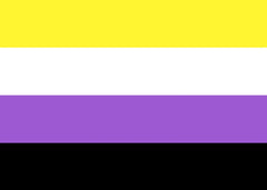 Nonbinary Pride Flag