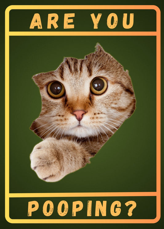 Fat Cat Are You Pooping Famous
