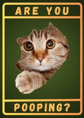Fat Cat Are You Pooping Famous