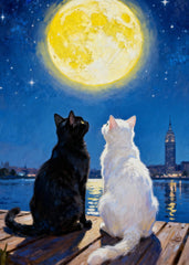 Black White Cat and Moon