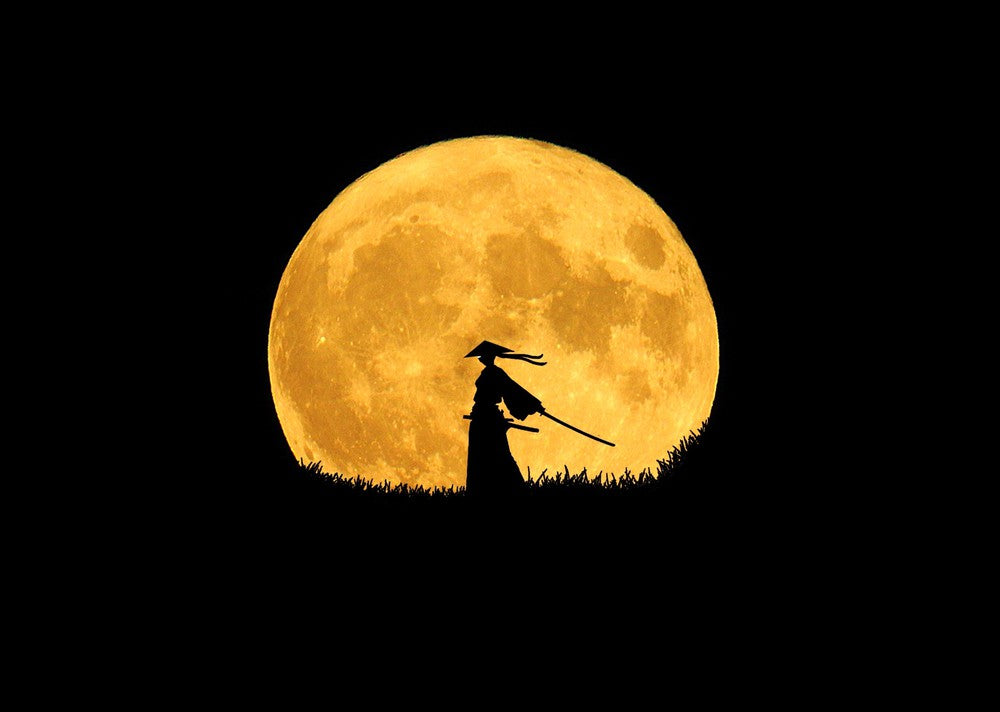 Moonlit Samurai Silhouette