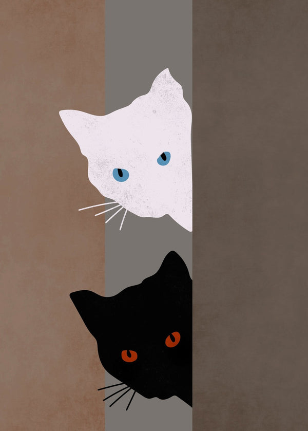 Black and White Cats