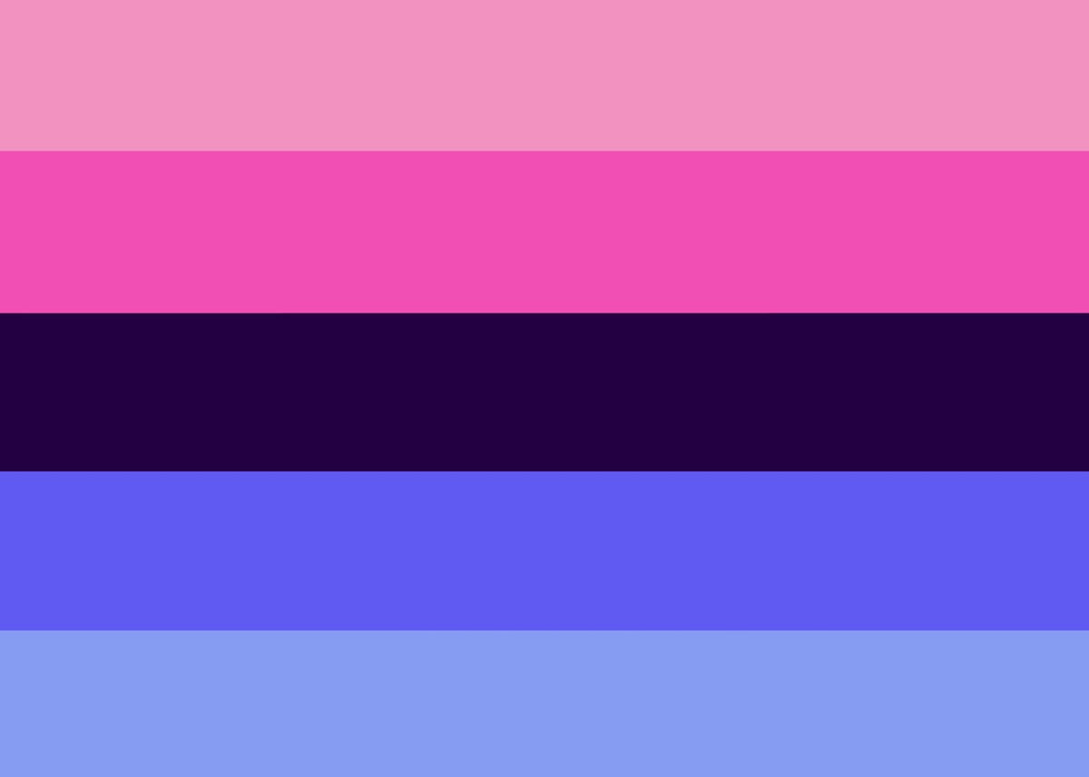 Omnisexual Pride Flag