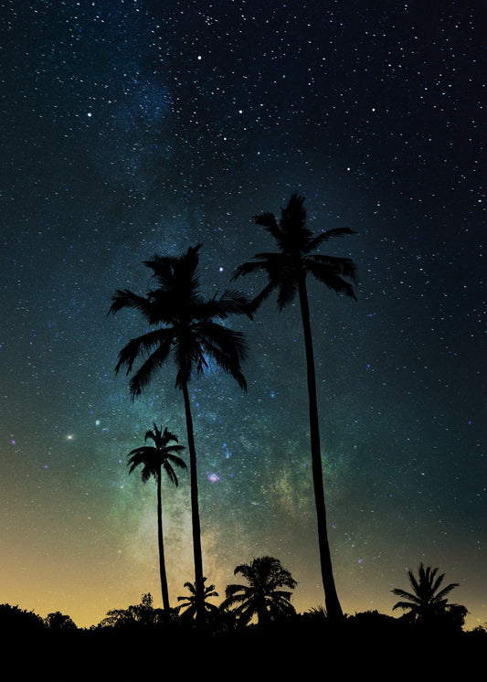 Cozy beach night