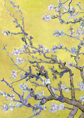 Almond Blossoms in yellow