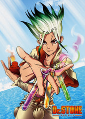 Dr Stone