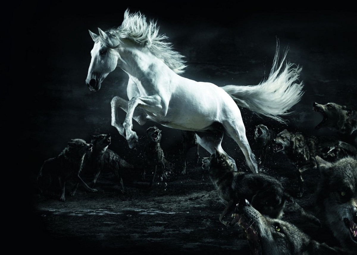 White horse