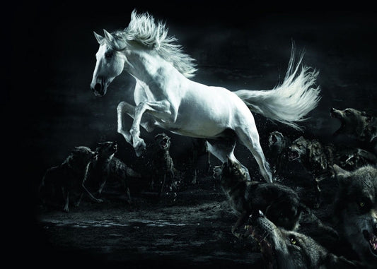 White horse
