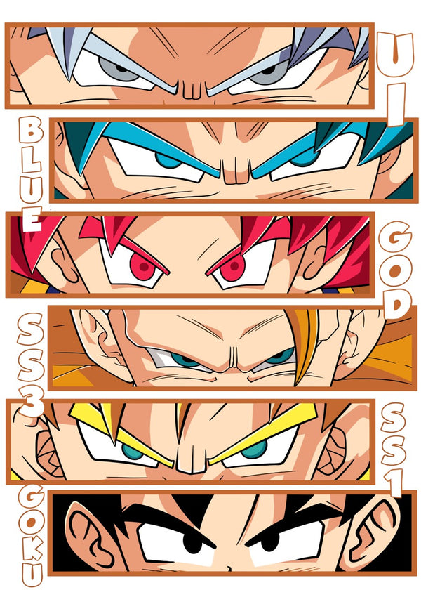 Goku's Evolution The Power