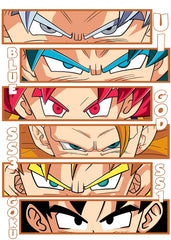 Goku's Evolution The Power