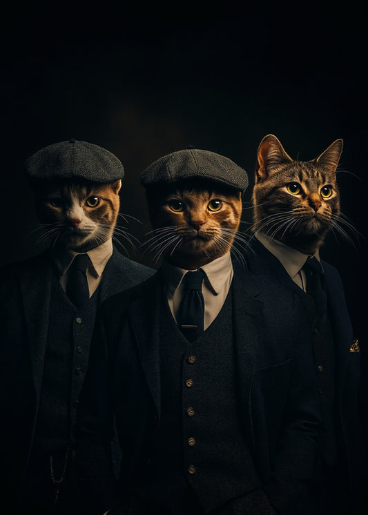 Cat suits