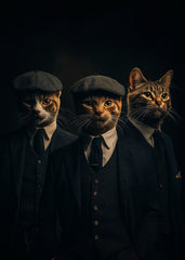 Cat suits