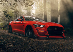 Ford Mustang GT in the forest 