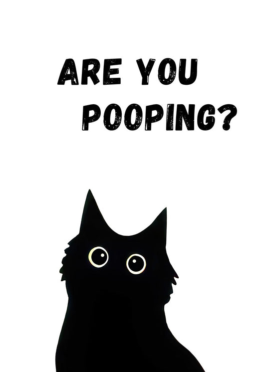Black Cat Are you pooping