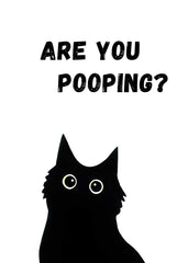 Black Cat Are you pooping