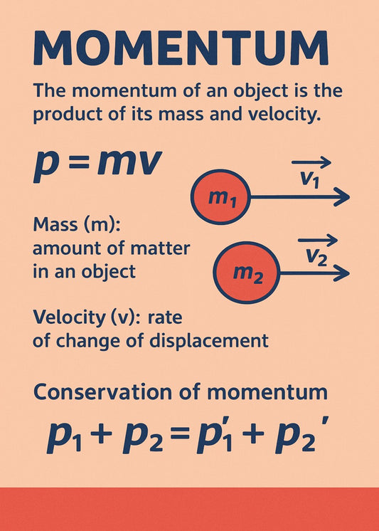 Momentum Physics Educational