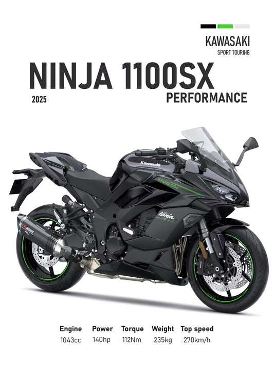 Kawasaki Ninja 1100SX Perfoman