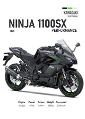 Kawasaki Ninja 1100SX Perfoman