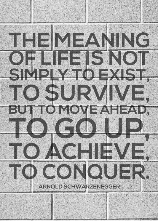 Arnold Schwarzenegger Quotes