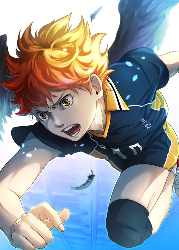 Shoyo Hinata, Haikyu!!