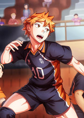 Shoyo Hinato, Haikyu!!