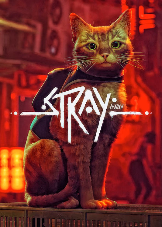 Stray Game